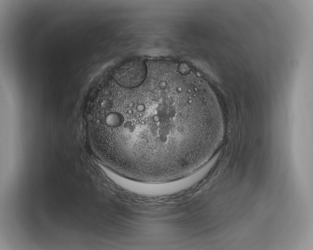 X0000114681398200910211201