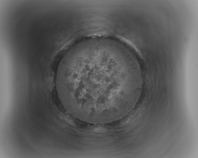 X0000114681399200910211201