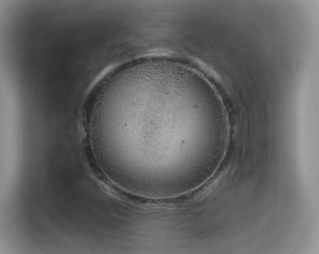 X0000114681400200910211201