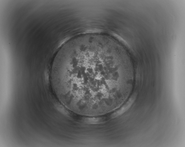 X0000114681401200910211201