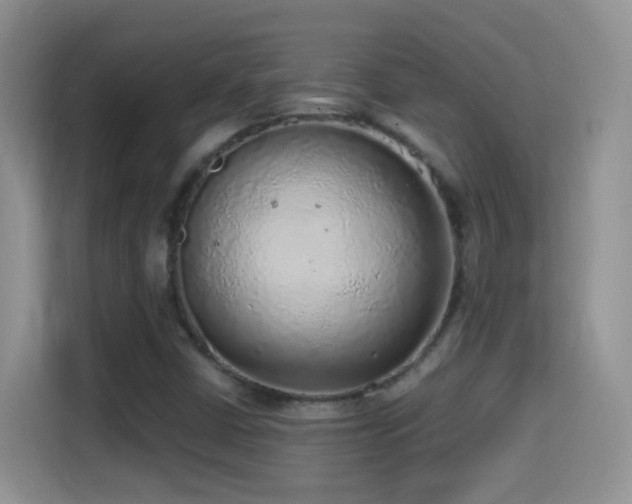 X0000114681402200910211201