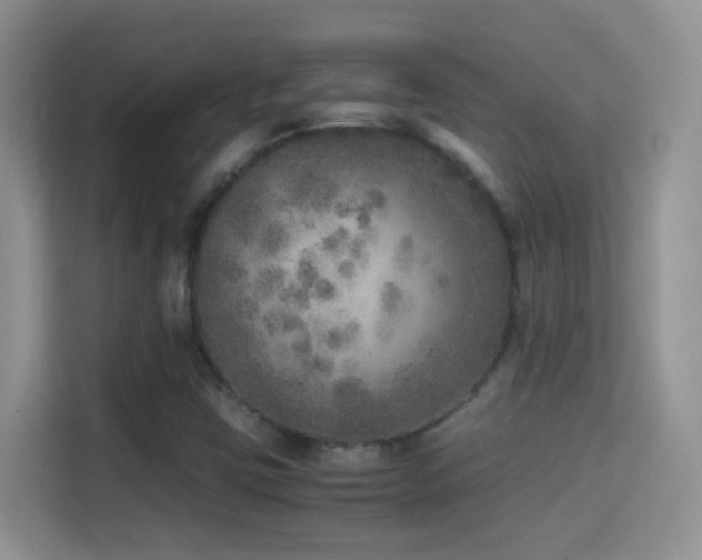 X0000114681403200910211201