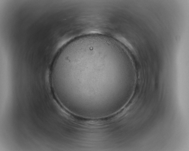 X0000114681404200910211201