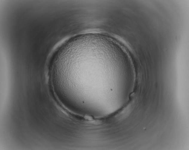 X0000114681406200910211201