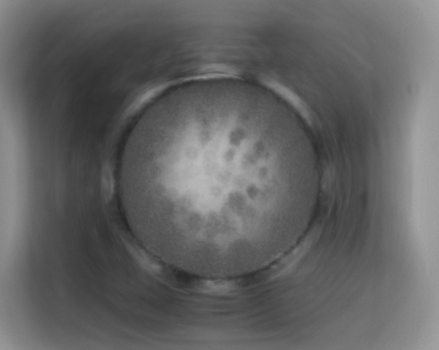 X0000114681407200910211201