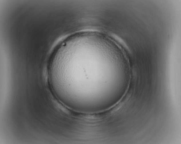X0000114681408200910211201
