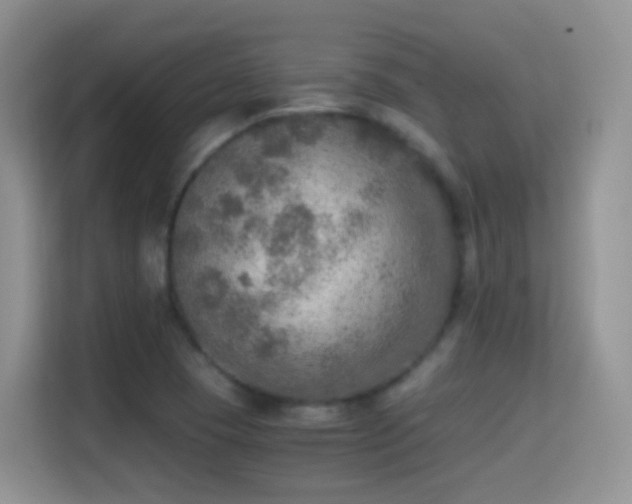X0000114681409200910211201