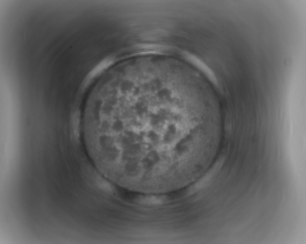 X0000114681411200910211201