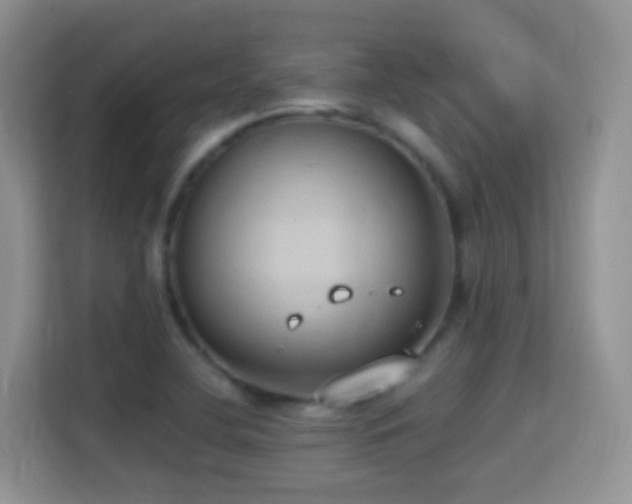 X0000114681412200910211201