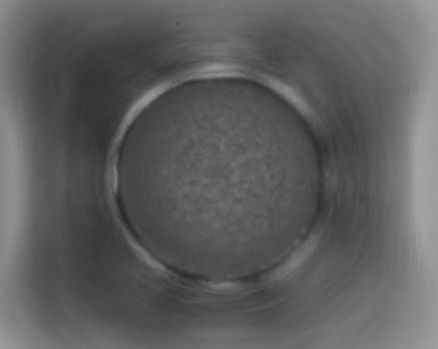 X0000114681413200910211201