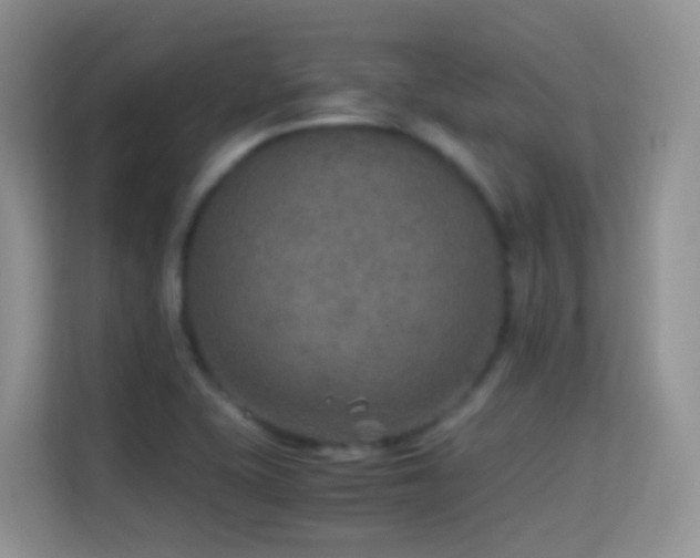 X0000114681415200910211201