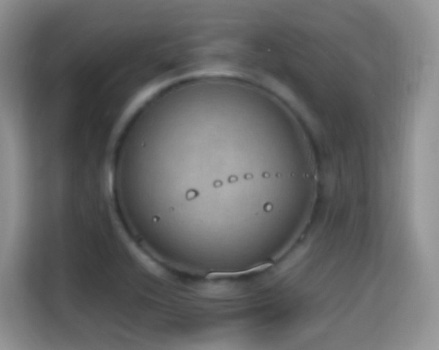 X0000114681416200910211201