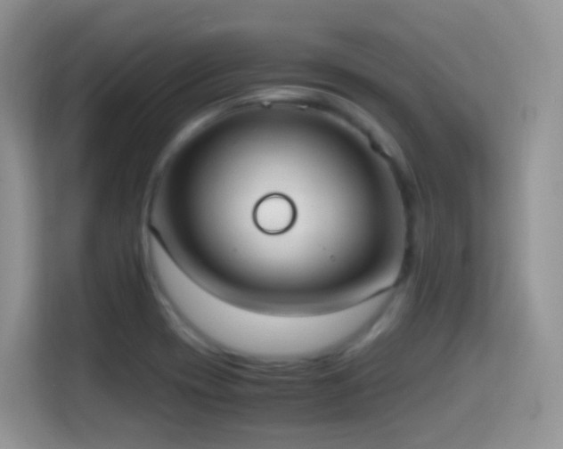 X0000114681417200910211201