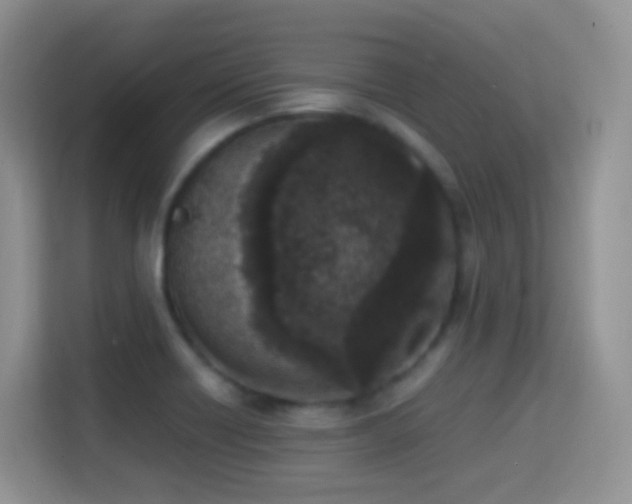 X0000114681418200910211201