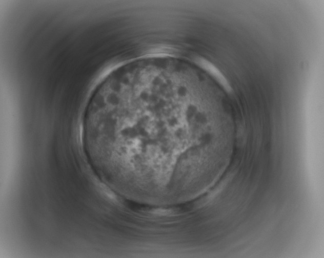 X0000114681419200910211201