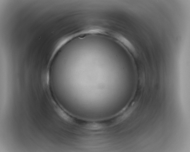 X0000114681420200910211201