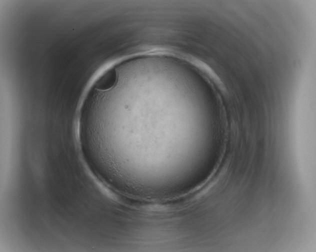 X0000114681424200910211201