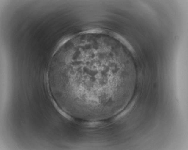 X0000114681425200910211201