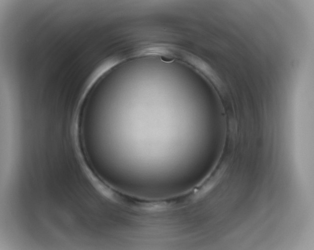X0000114681426200910211201
