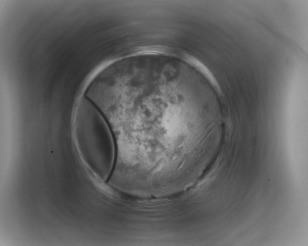 X0000114681427200910211201