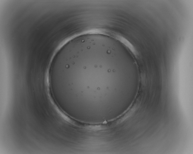 X0000114681428200910211201