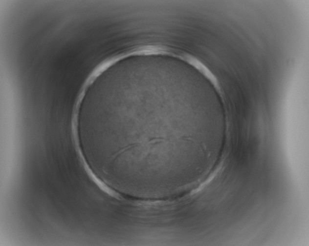 X0000114681429200910211201
