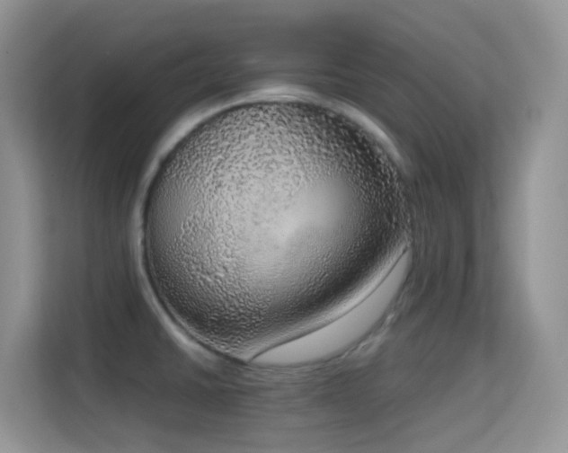 X0000114681430200910211201