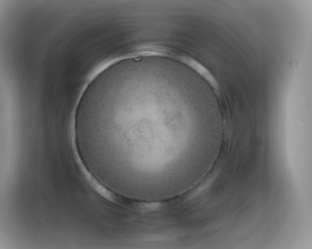 X0000114681431200910211201