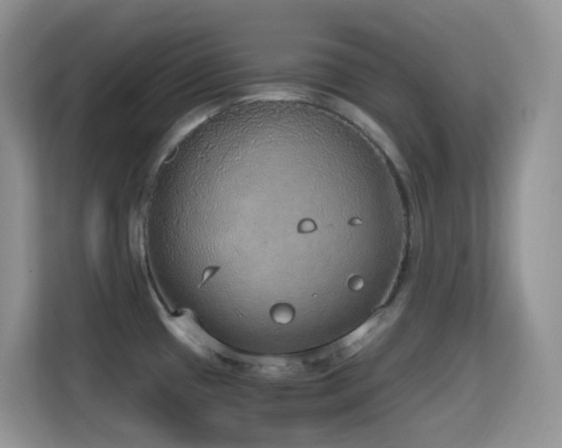 X0000114681433200910211201
