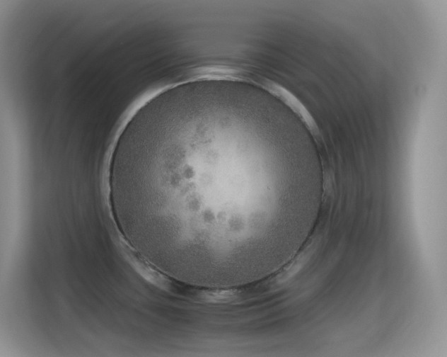 X0000114681435200910211201