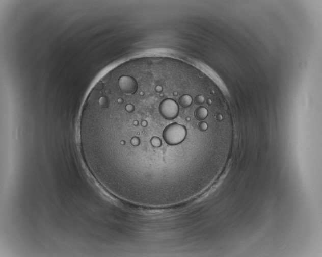 X0000114681436200910211201
