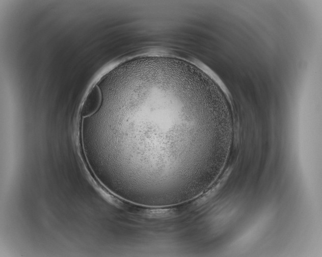 X0000114681437200910211201