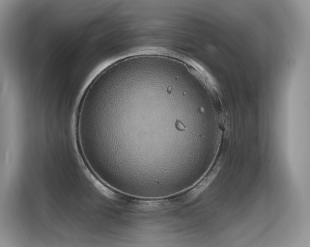 X0000114681438200910211201