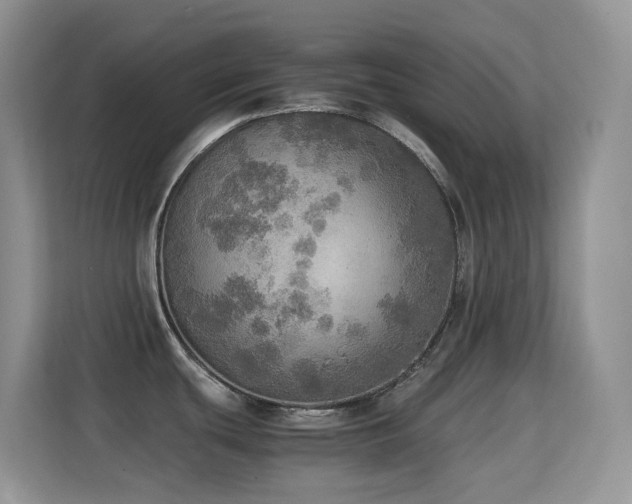 X0000114681439200910211201