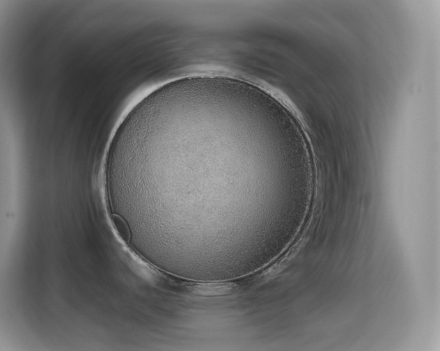 X0000114681440200910211201
