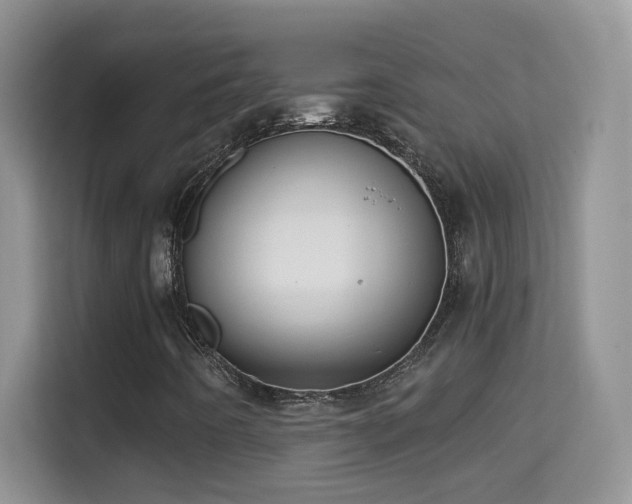 X0000114681442200910211201