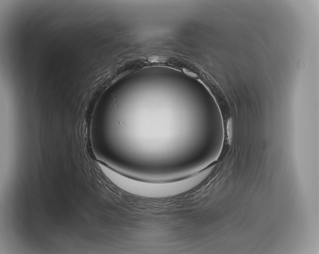 X0000114681443200910211201