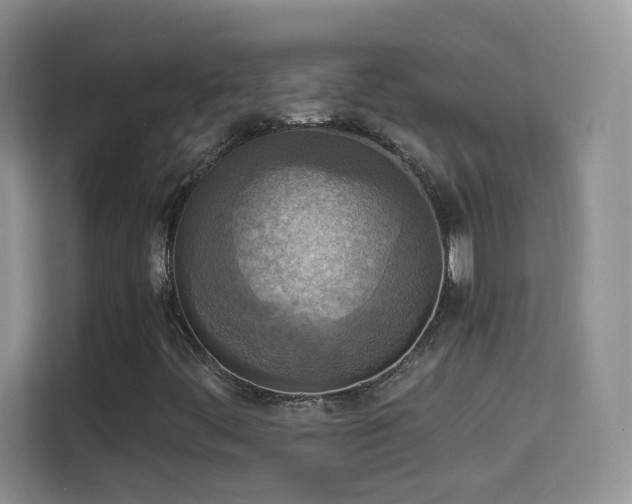 X0000114681444200910211201