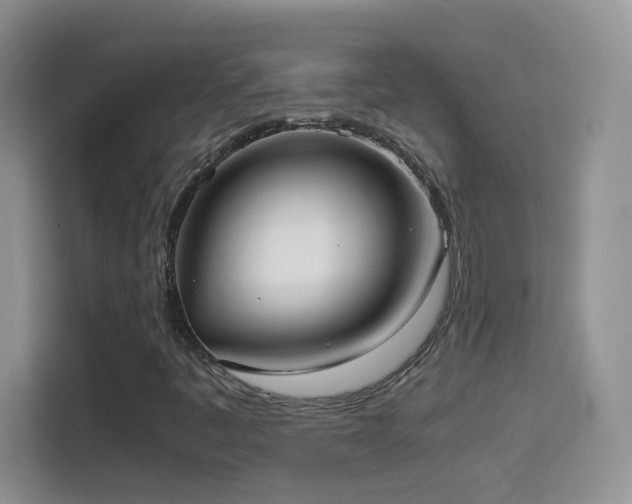 X0000114681445200910211201