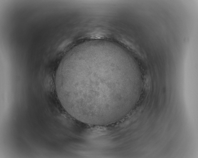 X0000114681446200910211201