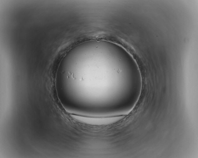 X0000114681447200910211201