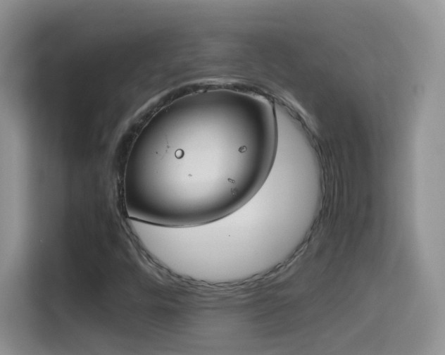 X0000114681448200910211201