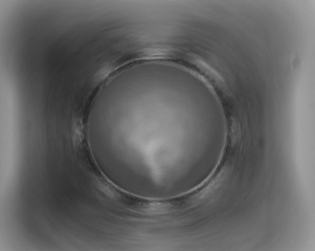 X0000114681449200910211201