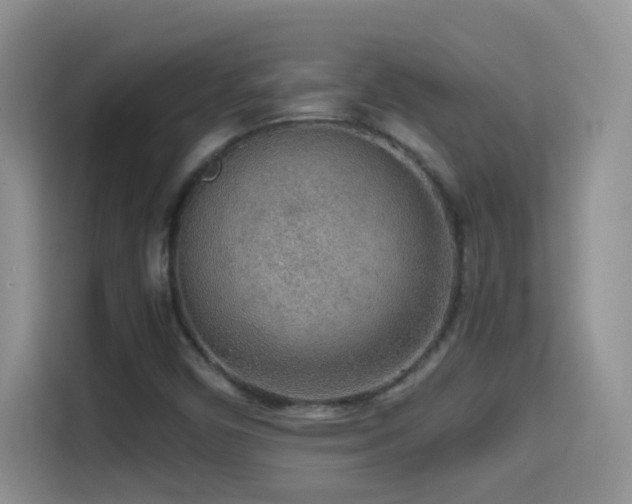 X0000114681450200910211201