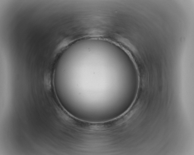 X0000114681451200910211201