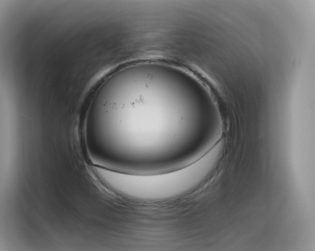 X0000114681452200910211201