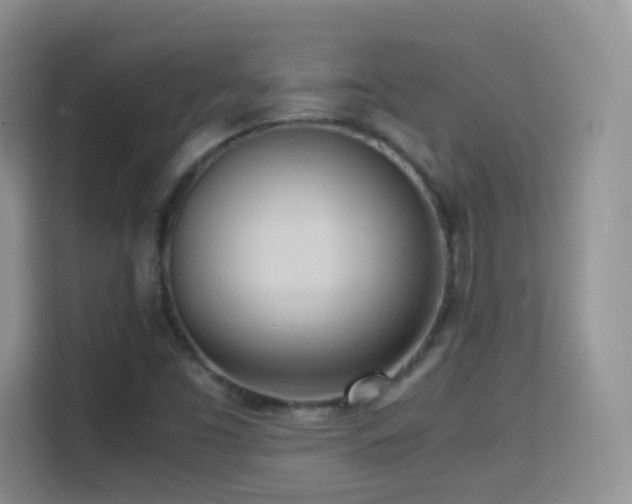 X0000114681453200910211201