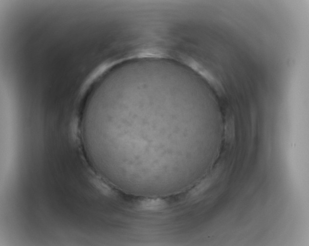 X0000114681454200910211201