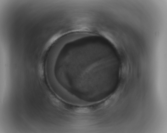 X0000114681455200910211201