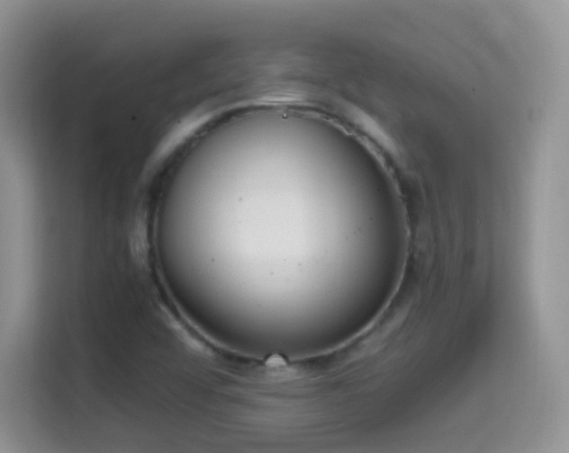 X0000114681456200910211201